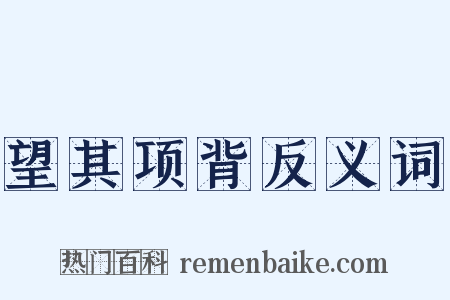 望其项背反义词是什么意思的图片